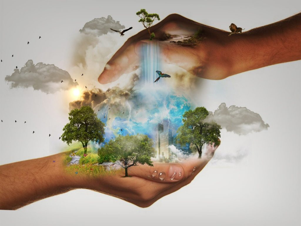 deux mains tenant un écosystème avec cascade, arbres et bâtiments modernes