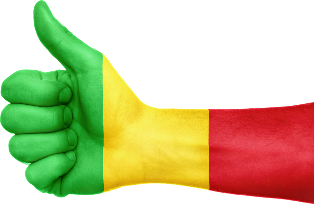 Les sanctions à l'encontre du Mali