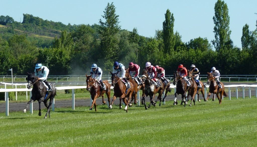 Les plus grandes courses de chevaux