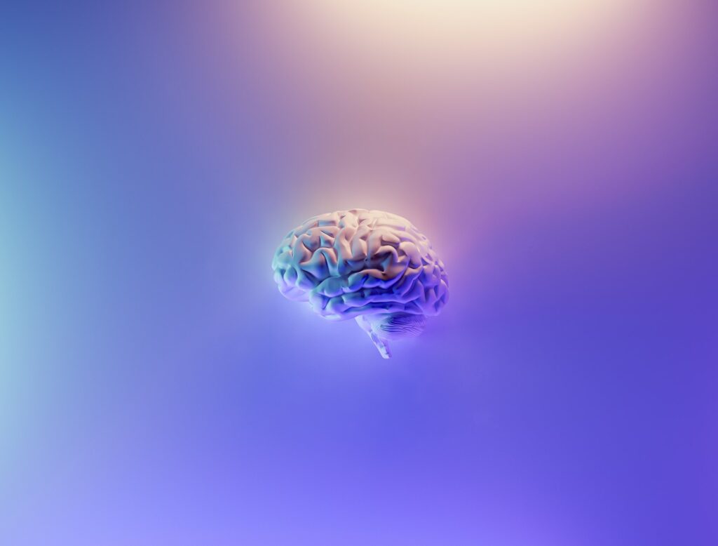 Tout savoir sur Google Brain